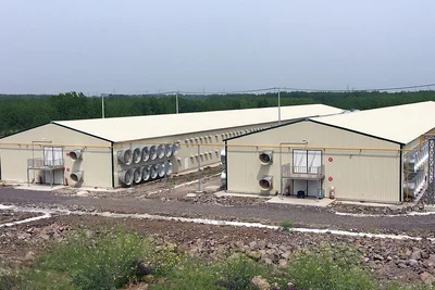Big Dutchman покупает у Betco подразделение по строительству животноводческих объектов