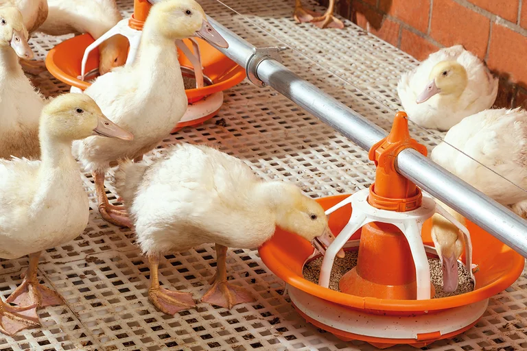 [Translate to Russian:] 